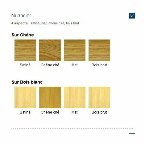 BLANCHON Vitrificateur Parquet "SVP AQUA" Pro Effet Nature 1L - Incolore 4 BLANCHON Vitrificateur Parquet "SVP AQUA" Pro Effet Nature 1L - Incolore – Image 2