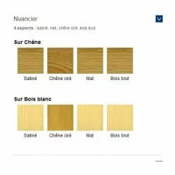 BLANCHON Vitrificateur Parquet "SVP AQUA" Pro Mat 10L - Incolore -Blanchon Soldes 5989675 2